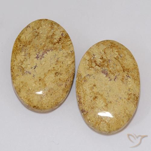 19.18ctw Natural Multicolorido Coral fóssil, oval, Opaco