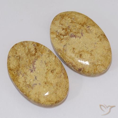 Pedras preciosas de Coral fóssil Multicolorido natural de 19.18 ct, oval, Opaco