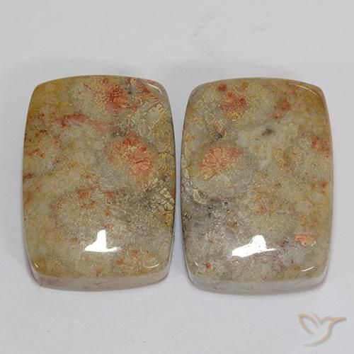 46.76ctw Natural Multicolorido Coral fóssil, Almofada, Opaco
