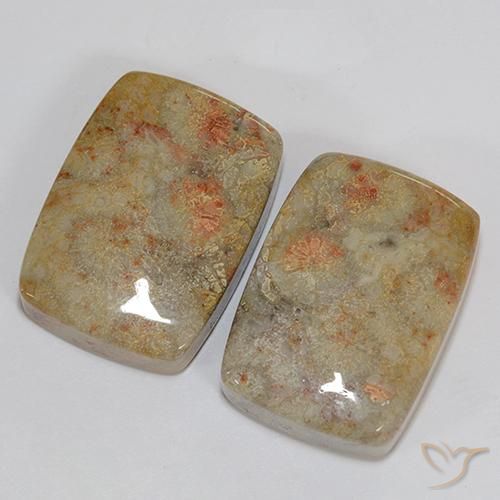 Pedras preciosas de Coral fóssil Multicolorido natural de 46.76 ct, Almofada, Opaco