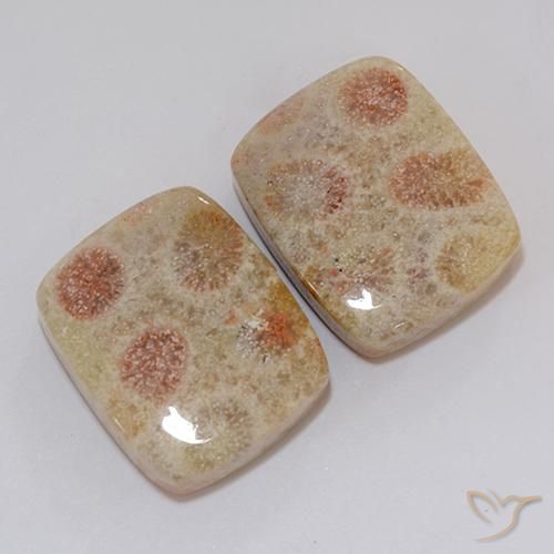 Pedras preciosas de Coral fóssil Multicolorido natural de 37.10 ct, Almofada, Opaco