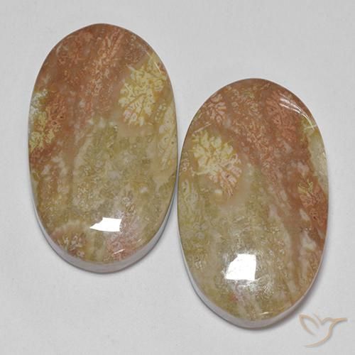 30.58ctw Natural Multicolorido Coral fóssil, oval, Opaco