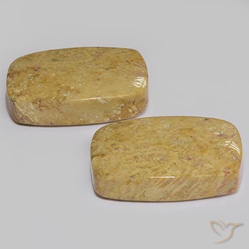 Pedras preciosas de Coral fóssil Multicolorido natural de 28.04 ct, Almofada, Opaco