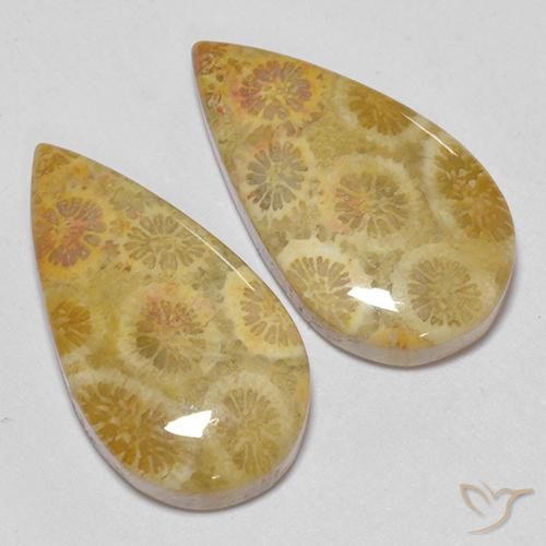 Pedras preciosas de Coral fóssil Multicolorido natural de 15.93 ct, Formato de pêra, Opaco