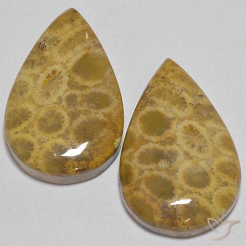40,4 ct Pear Fossil Coral, 25,1 x 16,4 mm Da Indonésia, Photo A