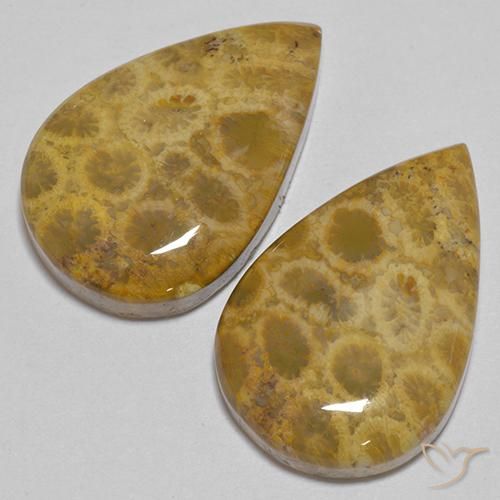 Pedras preciosas de Coral fóssil Multicolorido natural de 40.40 ct, Formato de pêra, Opaco