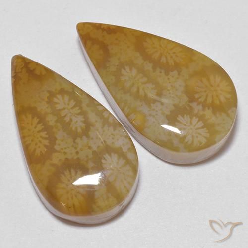 Pedras preciosas de Coral fóssil Multicolorido natural de 21.24 ct, Formato de pêra, Opaco