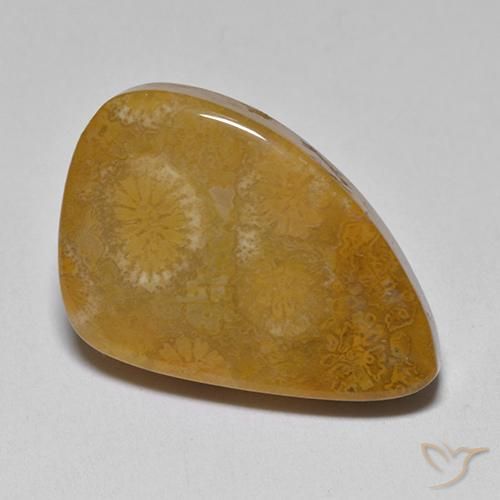Coral fóssil Multicolorido Natural 9.42ct, Chique, Opaco