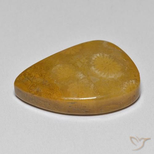 Coral fóssil Multicolorido Natural 9.42ct, Chique, Opaco