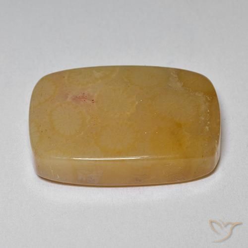 Coral fóssil Multicolorido Natural 16.47ct, Almofada, Opaco
