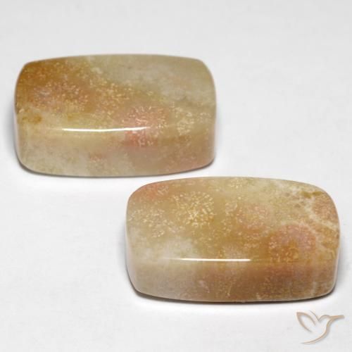 Pedras preciosas de Coral fóssil Multicolorido natural de 28.47 ct, Almofada, Opaco