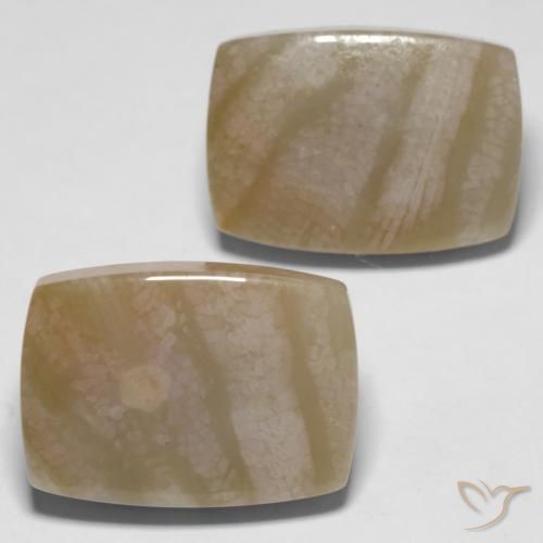 Pedras preciosas de Coral fóssil Multicolorido natural de 27.98 ct, Almofada, Opaco