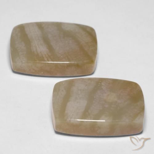 Pedras preciosas de Coral fóssil Multicolorido natural de 27.98 ct, Almofada, Opaco