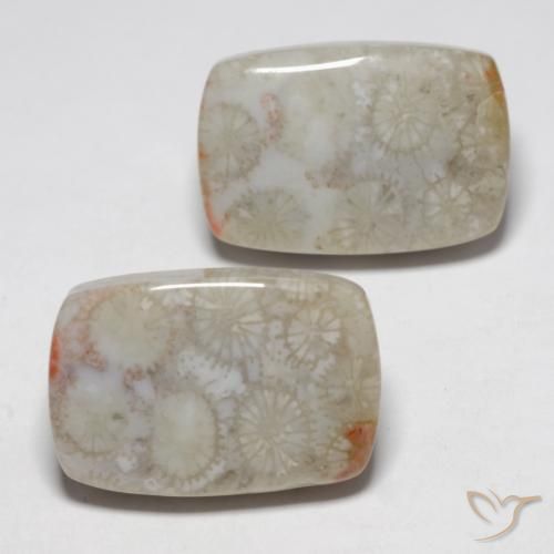 Pedras preciosas de Coral fóssil Multicolorido natural de 23.76 ct, Almofada, Opaco