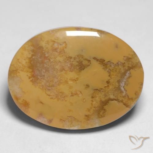 12.65ct Natural Multicolorido Coral fóssil, oval, Opaco