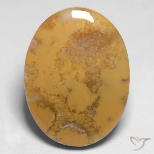 Coral fóssil Multicolorido Natural 12.65ct, oval, Opaco