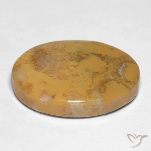 Coral fóssil Multicolorido Natural 12.65ct, oval, Opaco
