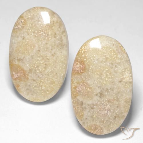 29.31ctw Natural Multicolorido Coral fóssil, oval, Opaco