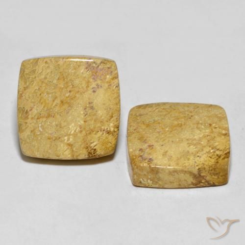 Pedras preciosas de Coral fóssil Multicolorido natural de 30.55 ct, Almofada, Opaco