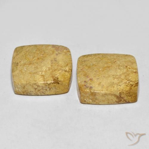 Pedras preciosas de Coral fóssil Multicolorido natural de 30.55 ct, Almofada, Opaco