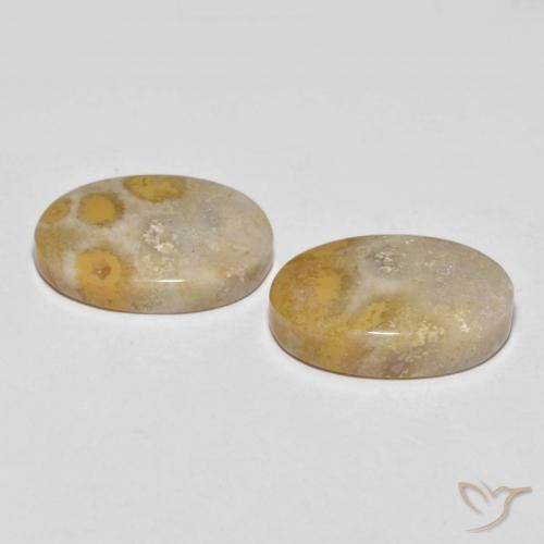 Pedras preciosas de Coral fóssil Multicolorido natural de 25.55 ct, oval, Opaco