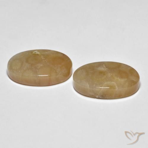 Pedras preciosas de Coral fóssil Multicolorido natural de 22.89 ct, oval, Opaco