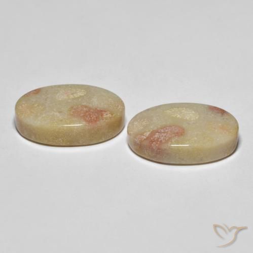 Pedras preciosas de Coral fóssil Multicolorido natural de 23.37 ct, oval, Opaco