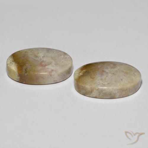 Pedras preciosas de Coral fóssil Multicolorido natural de 34.92 ct, oval, Opaco