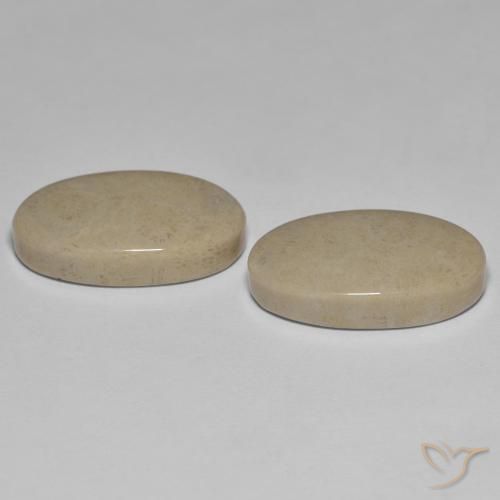 Pedras preciosas de Coral fóssil Multicolorido natural de 23.47 ct, oval, Opaco