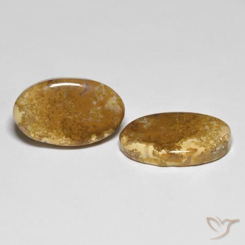 Pedras preciosas de Coral fóssil Multicolorido natural de 20.87 ct, oval, Opaco