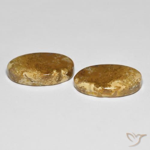 Pedras preciosas de Coral fóssil Multicolorido natural de 20.87 ct, oval, Opaco