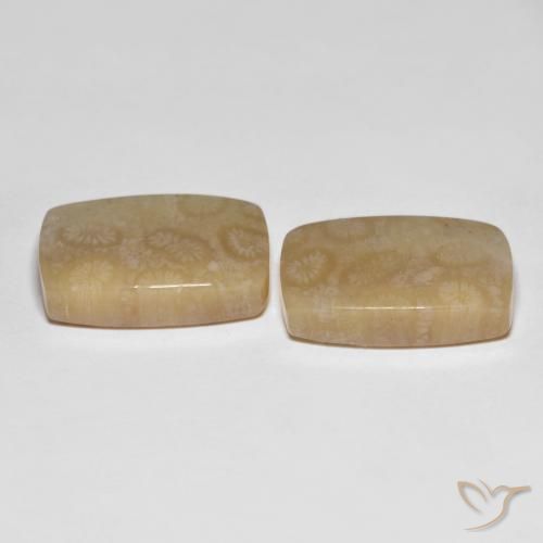 Pedras preciosas de Coral fóssil Multicolorido natural de 26.20 ct, Almofada, Translúcido