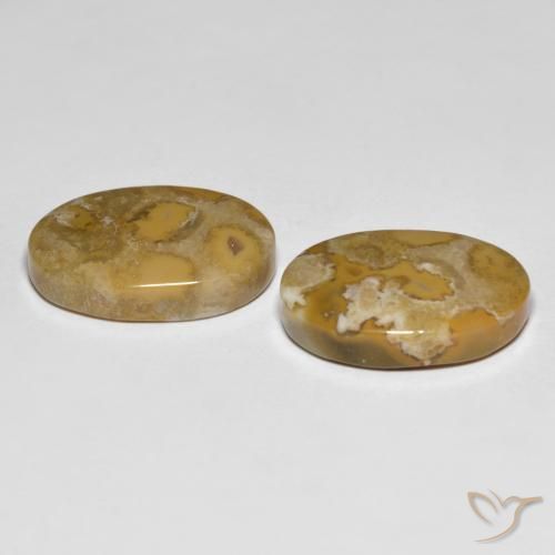 Pedras preciosas de Coral fóssil Multicolorido natural de 23.71 ct, oval, Opaco