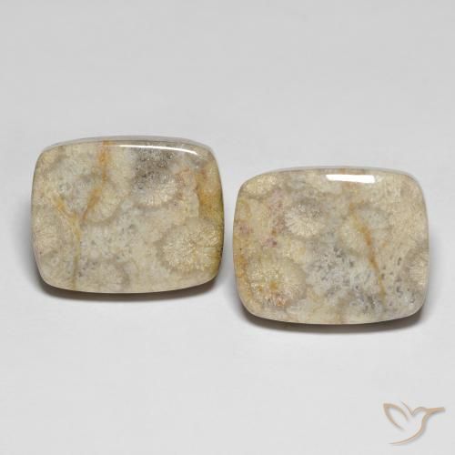 31.90ctw Natural Multicolorido Coral fóssil, Almofada, Opaco