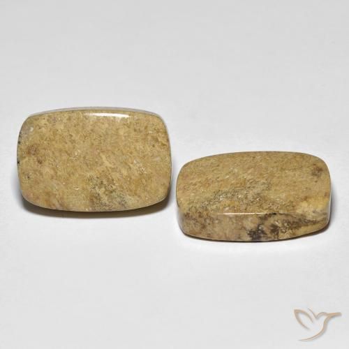 Pedras preciosas de Coral fóssil Multicolorido natural de 23.12 ct, Almofada, Opaco