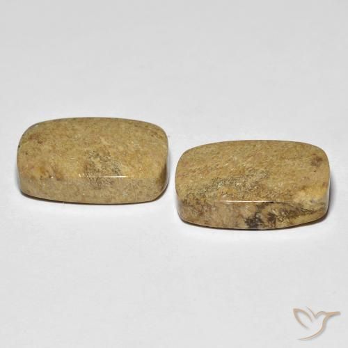 Pedras preciosas de Coral fóssil Multicolorido natural de 23.12 ct, Almofada, Opaco