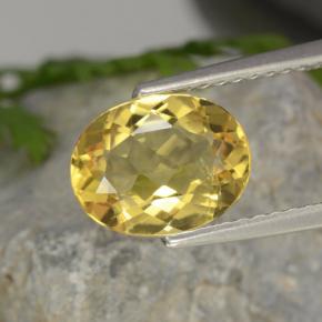 Berilo dourado amarelo natural 1,52ct, corte oval, VVS-VS