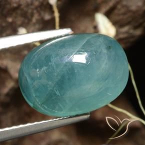 Grandidierita Verde azul médio-escuro Natural 6.02ct, oval, Translúcido