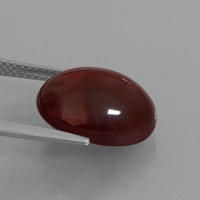 Granada hessonita laranja natural 9,13ct, corte oval, translúcido