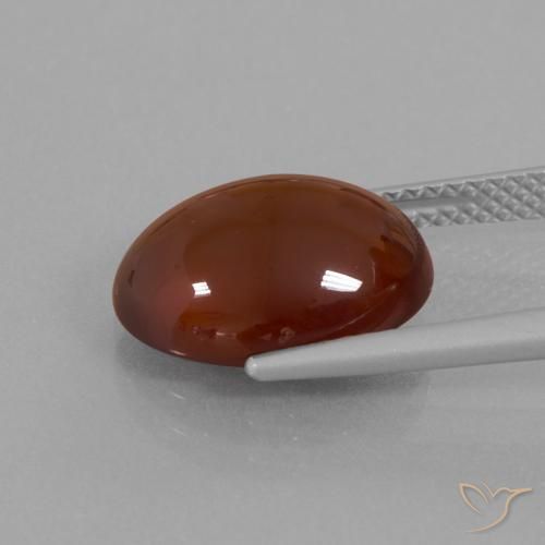 granada hessonita Castanho médio-escuro Natural 6.90ct, oval, Translúcido