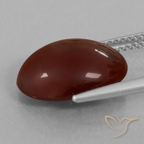granada hessonita Pecan Brown Natural 7.07ct, oval, Translúcido