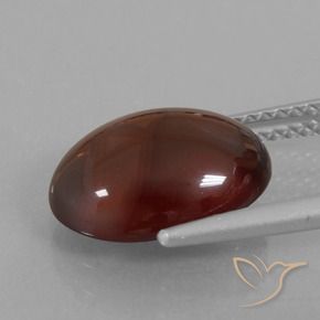 granada hessonita Pecan Brown Natural 5.27ct, oval, Translúcido