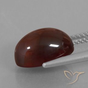 granada hessonita Pecan Brown Natural 5.80ct, oval, Translúcido