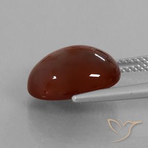 granada hessonita Pecan Brown Natural 7.55ct, oval, Translúcido