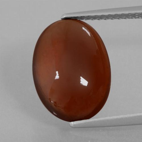 Granada hessonita marrom natural 5,00ct, corte oval, translúcido