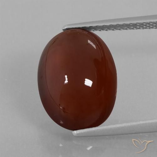 7.29ct Natural Castanho médio-escuro granada hessonita, oval, Translúcido