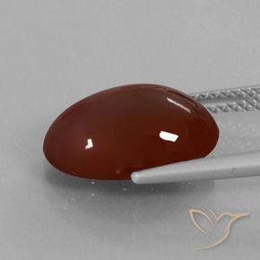 granada hessonita Castanho médio-escuro Natural 7.29ct, oval, Translúcido