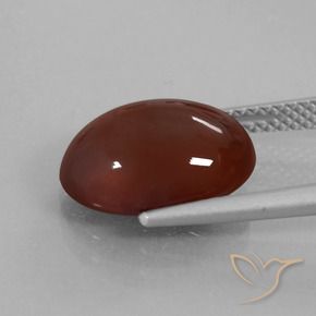granada hessonita Marrom avermelhado Natural 6.64ct, oval, Translúcido