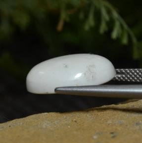 Howlita branco natural 8,33ct, corte oval, opaco