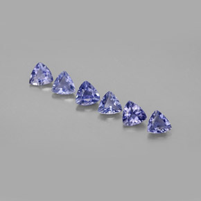 Pedras preciosas de iolita azul natural de  ct, trillion, VS